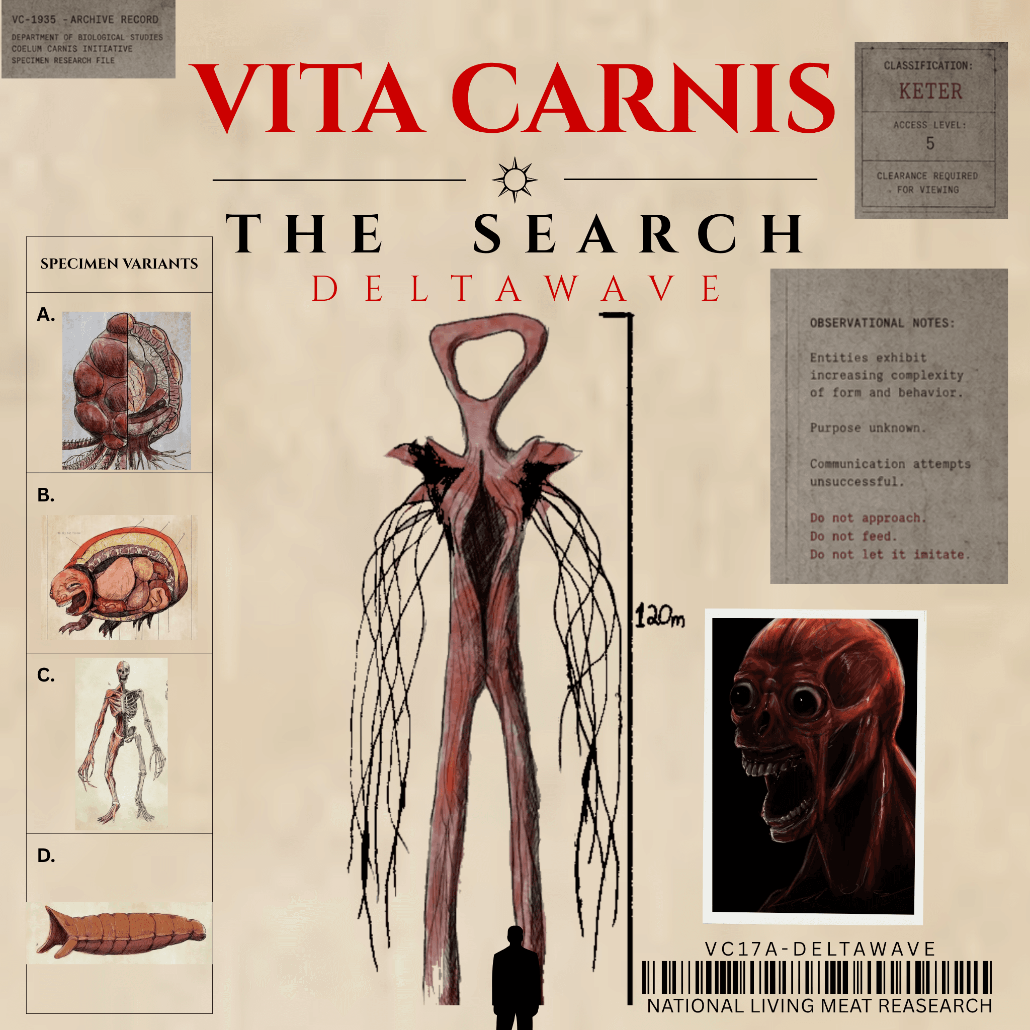 Vita Carnis artwork